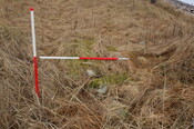 GUARD3064_Camera2_ (94).JPG