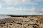 GUARD3064_Camera2_ (83).JPG