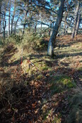 GUARD3064_Camera2_ (216).JPG