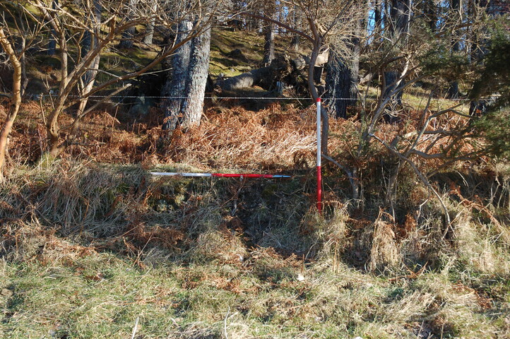 GUARD3064_Camera2_ (222).JPG