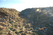 GUARD3064_Camera1_ (321).JPG