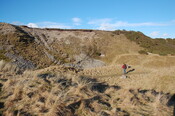GUARD3064_Camera1_ (322).JPG