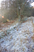 GUARD3064_Camera2_ (221).JPG