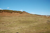 GUARD3064_Camera1_ (307).JPG