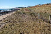 GUARD3064_Camera1_ (304).JPG