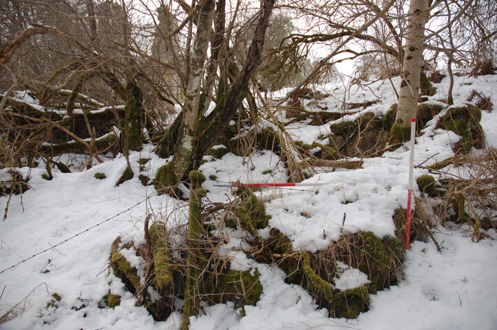 GUARD3064_Camera2_ (311).JPG