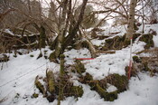 GUARD3064_Camera2_ (311).JPG