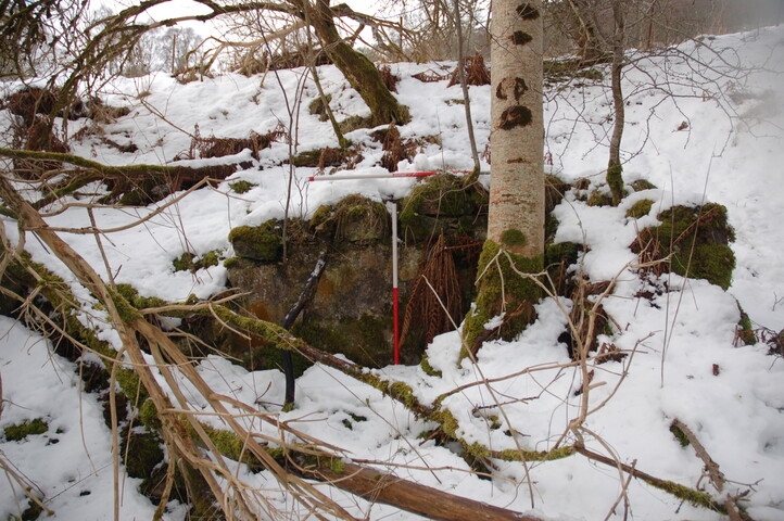 GUARD3064_Camera2_ (312).JPG
