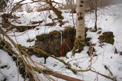 GUARD3064_Camera2_ (312).JPG