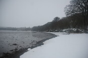 GUARD3064_Camera2_ (280).JPG