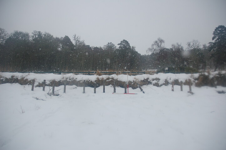 GUARD3064_Camera2_ (278).JPG