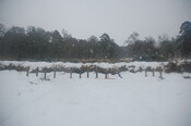 GUARD3064_Camera2_ (278).JPG
