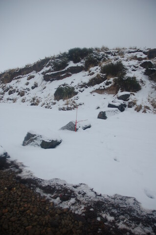 GUARD3064_Camera2_ (259).JPG
