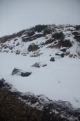 GUARD3064_Camera2_ (259).JPG