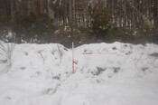 GUARD3064_Camera2_ (274).JPG