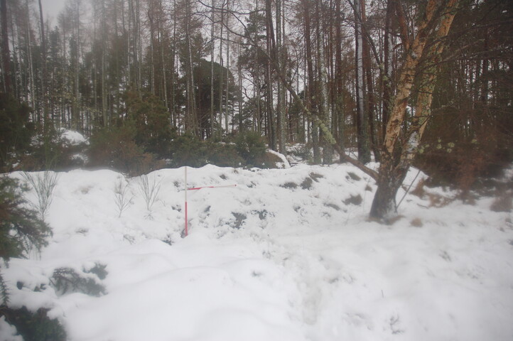 GUARD3064_Camera2_ (275).JPG