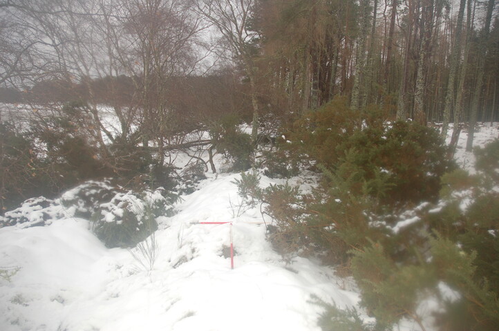 GUARD3064_Camera2_ (276).JPG