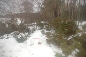 GUARD3064_Camera2_ (276).JPG