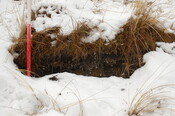 GUARD3064_Camera1_ (394).JPG