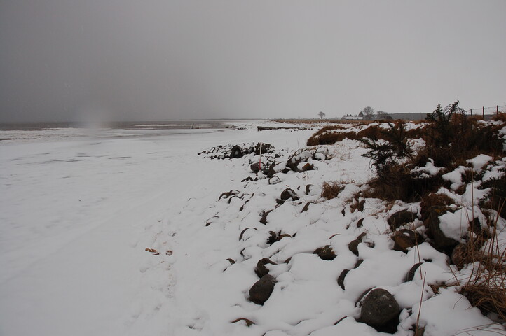 GUARD3064_Camera1_ (402).JPG