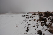 GUARD3064_Camera1_ (402).JPG