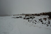 GUARD3064_Camera1_ (403).JPG