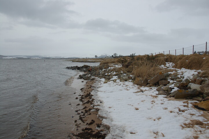 GUARD3064_Camera1_ (465).JPG