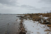 GUARD3064_Camera1_ (465).JPG
