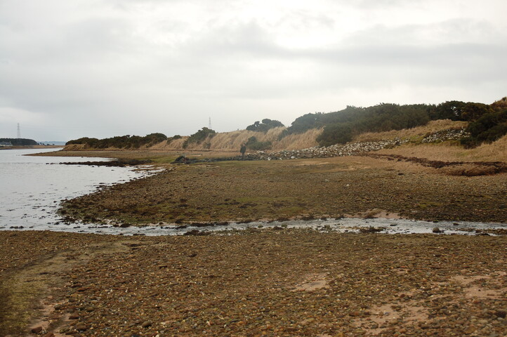 GUARD3064_Camera1_ (203).JPG