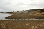 GUARD3064_Camera1_ (203).JPG
