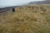 GUARD3064_Camera1_ (371).JPG