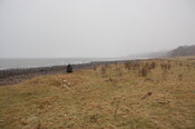 GUARD3064_Camera1_ (372).JPG