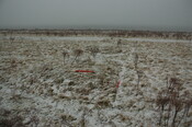 GUARD3064_Camera1_ (373).JPG