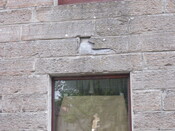 shop 006.jpg