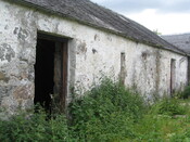 19.JPG