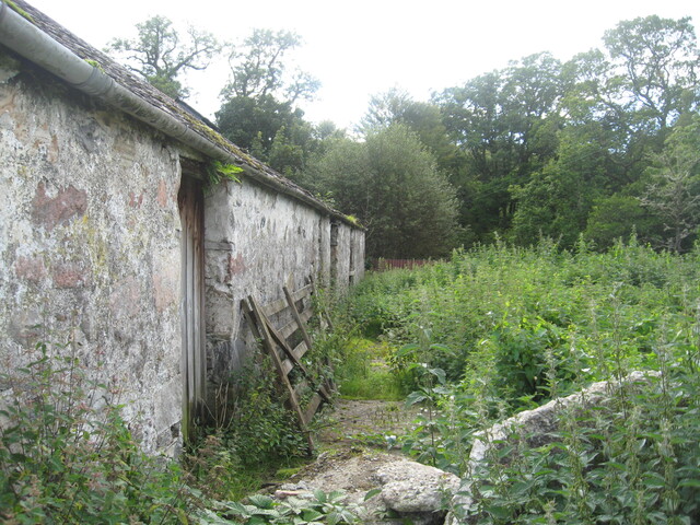 68.JPG