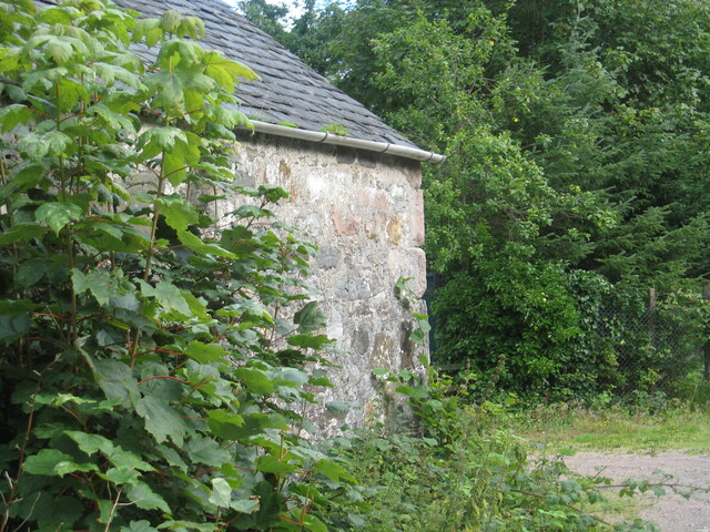 73.JPG