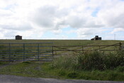 IMG_1873.JPG