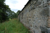 CK13-DSC_0110_2.JPG