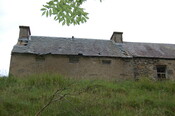 CK17-DSC_0131_2.JPG