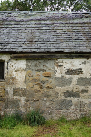 CK24-DSC_0025_2.JPG