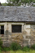CK25-DSC_0026_2.JPG