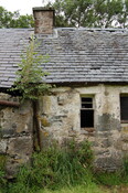 CK27-DSC_0027_2.JPG