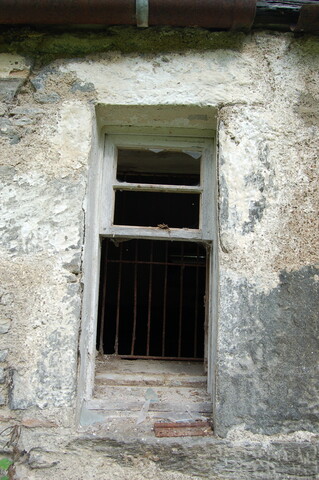 CK28-DSC_0037_2.JPG