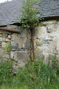 CK29-DSC_0038_2.JPG