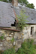 CK30-DSC_0040_2.JPG