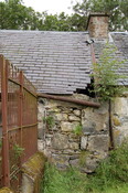 CK31-DSC_0044_2.JPG