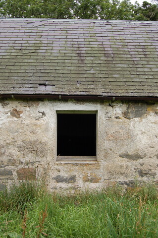 CK35-DSC_0047_2.JPG