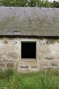 CK35-DSC_0047_2.JPG