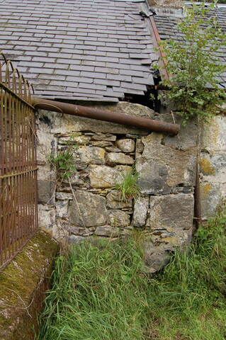 CK54-DSC_0041_2.JPG